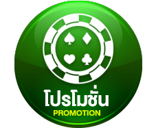 เว็บไซต์ 